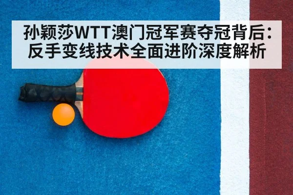 table tennis racket